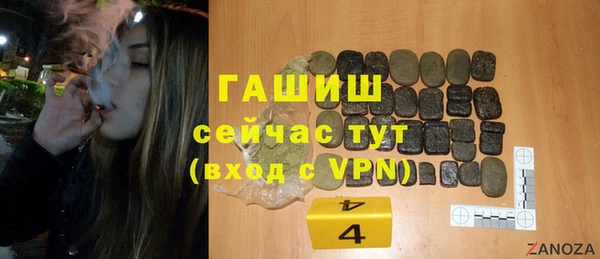 сатива Новодвинск