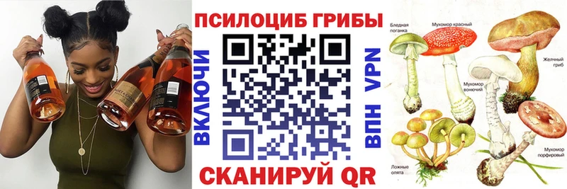 Псилоцибиновые грибы ЛСД KRAKEN ТОР Собинка